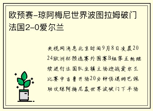 欧预赛-琼阿梅尼世界波图拉姆破门 法国2-0爱尔兰
