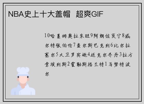 NBA史上十大盖帽  超爽GIF